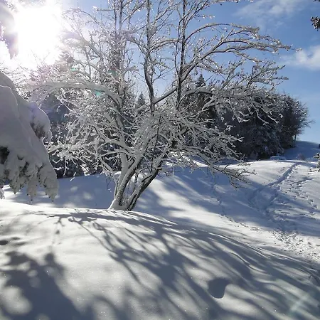 Notre Dame Des Neiges Szálloda La Féclaz